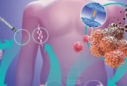 cancer therapies
