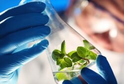Investment of $28M by a Biotechnology company in Visalia