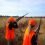 I-T dept’s hunt operations