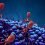 Biologist predicts: CRISPR won’t slow crop biotech innovation
