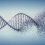 CCMB to host an Indo-US workshop on the topic of genetic diseases