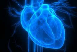 New radiotracer provides quicker treatment after heart attack