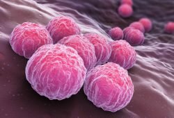 One of the highest STD rates in any American city has been in Columbia.