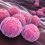 One of the highest STD rates in any American city has been in Columbia.