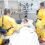 Planning of Germany to deport Ebola Virus Patients