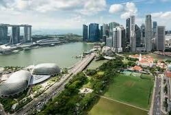 UAE and Singapore can be allies for a changing world