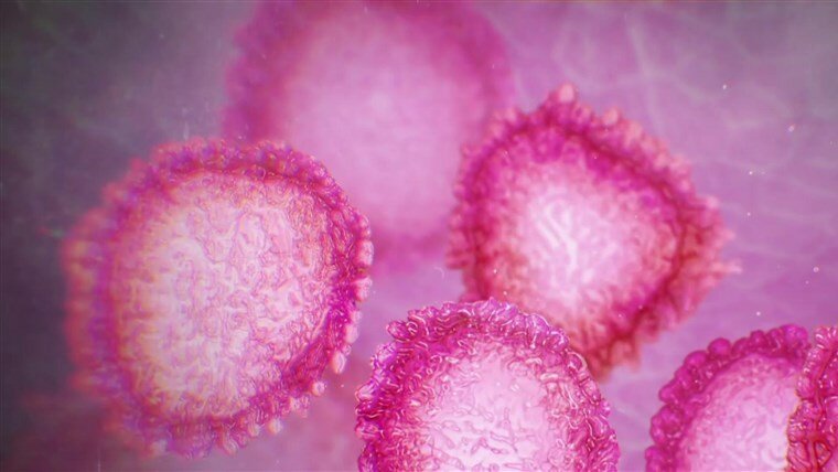 Coronavirus Vaccine
