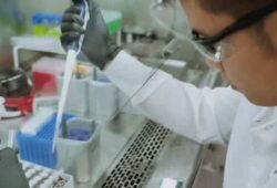 coronavirus vaccine