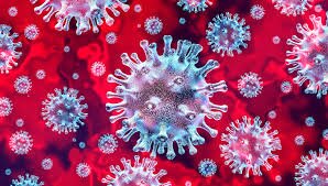 coronavirus (VIR)