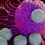 India could help in making CAR-T cell therapies more broad based and accessible