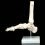 Huge Growth Excepted in Bone Anatomical Model Market in Upcoming Years Complete Analysis by 2020-2027 | Profiling Top Key Players Fysiomed, Nasco, RuDIGER-ANATOMIE, Sakamoto Model Corporation, Simulaids, SOMSO