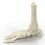 Huge Growth Seen for Subtalar Joint Implants Market by 2020-2027 Profiling key players in2bones, OsteoMed, Tornier, Wright