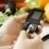 Online Diabetes Coaching Massive Growth in Market Set to Witness Huge Growth by 2027 – Omada Health Inc., Virta Health, Naturally Slim, Lark Health, Healthline Media