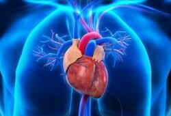 Myocardial Infarction Treatment