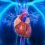 Future Outlook of Myocardial Infarction Treatment Market is Significantly Grow Forecast to 2027 | Bayer, Novartis, Daiichi Sankyo, Boehringer Ingelheim, Astrazeneca, Janssen Biotech, Merck, Sanofi, Pfizer