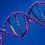 Genomics Personalized Health Market Set to Witness Massive Growth Explored in Latest Report Forecast by 2020-2027 | Future Trends and Upcoming Opportunities | QIAGEN, Illumina, Thermo Fisher Scientific, Bio-Rad, Roche, Lonza, INVITAE
