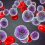 Acute Lymphoblastic Leukemia Therapeutics Market Global Industry Trends, Share, Size and Forecast Report By 2025 |Erytech Pharma, Spectrum Pharmaceuticals, Pfizer, Sigma-Tau