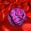Acute Myeloid Leukemia Drugs Market Opportunities, Growth and Forecasting for next Upcoming Year 2026: Ambit Biosciences Corporation, Celgene Corporation, Cephalon, Clavis Pharma, Eisai, Genzyme Corporation, Sunesis Pharmaceuticals