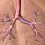 Airway Stent/Lung Stent Market to Witness Tremendous Growth in Forecasted Period 2020-2027
