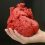 Why Artificial Organs Market Had Been So Popular Till Now? Biomet, Inc