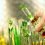 Biotechnology Separation Systems Market to Witness an Outstanding Growth During 2020 | GE Healthcare (UK), Becton, Dickinson and Company (US), 3M Purification, Inc. (US), Merck KGaA (Germany), AB Sciex (US)