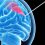 Brain Biopsy Needles Market Huge Demand & Future Scope Including Top Players Ad-Tech Medical, Intamed, Mller Medical, Delta Surgical