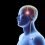 Brain Implants Market By Top Keyplayers Boston Scientific, Medtronic, St