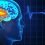 Brain Monitoring Devices Market (COVID – 19 Updated) Climbs on Positive Outlook of Excellent Growth by 2027: Medtronic, Johnson & Johnson, C.R. Bard, GE Healthcare