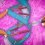 Cancer Gene Therapy Market Trend, Analysis, Future Growth, Industry Trend, Forecast Period 2020-2026 |Top Key Players: Adaptimmune, GlaxoSmithKline, Bluebird bio, Inc., Merck, Celgene, Shanghai Sunway Biotech, BioCancell