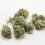 Cannabis Marijuana Market Projected to Witness Vigorous Expansion by 2020-2027 by Major innovators like Canopy Growth Corporation,Aurora Cannabis Inc.