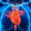Cardiac Rhythm Management Devices Market By Top Keyplayers Medtronic, St