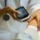Connected Health Device Market Update- Which Player is going to acquire bigger Piece of Industry? Medtronic PLC, Koninklijke Philips NV, Boston Scientific Corporation, Abbott Laboratories, Garmin Ltd