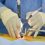 Minimally Invasive Spine Surgery Market to Witness Steady Growth During the Forecast Period 2020 to 2026 – DePuy Synthes, Medtronic, NuVasive, Stryker, Zimmer-Biomet, GS Medical, Cook Medical, Apollo Spine, TI, Smith & Nephew, Paradigm Spine