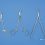 Needle Holders Market to Witness an Outstanding Growth During 2020 |Johnson & Johnson,Becton, Dickinson,LAWTON Medizintechnik,Olympus,August Reuchlen GmbH,J&J Instruments,Hu-Friedy,Nordent Manufacturing