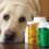 Pet Vitamins and Supplements Market 2020: Prosperous Growth, Recent Trends and Demand by Top Key Vendors like – Petco, ValoMarket, Groomers Pro, EntirelyPets