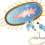Impact of Coronavirus on Protein Expression Market to Deliver Prominent Growth & Striking Opportunities Scenario Highlighting Major Drivers & Trends 2020-2027