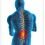 Spinal Cord Trauma Treatment Market Demand, Segmentation, Recent Trends, Strategies, Demand, Top Players and Business Outlook To 2027| Asterias Biotherapeutics , BioArctic AB , ReNetX Bio. , BioTime, Inc.