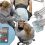 Veterinary Dental Delivery Systems Market Huge Demand & Future Scope Including Top Players Accesia, CBI, Dentalaire, Dispomed, DNTLworks Equipment Corporation