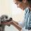 Veterinary Reference Laboratory Market 2020: Prosperous Growth, Recent Trends and Demand by Top Key Vendors like – IDEXX Laboratories Inc. (US), VCA Inc. (US), GD Animal Health (Netherlands), Zoetis Inc. (US), Neogen Corporation (US)