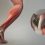 Tissue Repair Technologies Market – Global Countries Data, 2020 Global Industry Size, Growth, Segments, Revenue, Market Size & Growth, Manufacturers And 2026 Forecast Research Report