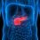 Massive Growth Seen in Pancreatic Insufficiency Market In-Depth Study by 2020-2027 Focusing on Leading Players Axcan Pharma, Aptalis Pharma, Eli Lilly, Cilian, Nordmark Arzneimittel