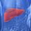 Massive Growth Seen in Liver cancer treatment drugs Market In-Depth Study by 2020-2027 Focusing on Leading Players  Bayer AG, Bristol-Myers Squibb Company, Eisai, Exelixis, Onyx Pharmaceuticals Inc, Alnylam Pharmaceuticals, Inc, Pfizer Inc, F. Hoffmann-La Roche Ltd