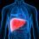 Liver cancer treatment drugs Market is thriving worldwide by 2027 | Top Key Players like Eisai, Exelixis, Onyx Pharmaceuticals Inc, Alnylam Pharmaceuticals, Inc, Pfizer Inc, F. Hoffmann-La Roche Ltd., Jennerex Biotherapeutics Inc, Celsion Corp, ArQule Inc, 4SC AG, Schering Pharma AG, Merck Pharmaceuticals,  