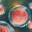 Trending Report on Advanced Cell Therapies Market Detail Study Report by 2020-2027 Profiling Key Players Vericel Corporation, Mesoblast Ltd, Osiris Therapeutics, Inc, NuVasive, Inc., JCR Pharmaceuticals Co., Ltd, Pharmicell Co., Ltd, AlloSource, RTI Surgical Holdings, Inc., Holostem Terapie Avanzate S.r.l., and Medipost Co