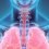 Massive Growth Seen in Respiratory Infectious Disease Diagnostics Market In-Depth Study by 2020-2027 Focusing on Leading Players  Abbott Laboratories, Thermo Fisher Scientific., Alere, Koninklijke Philips, Cardinal Health